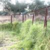 Σε δραματική κατάσταση οι αθλητικές υποδομές στο νησί της Ζακύνθου