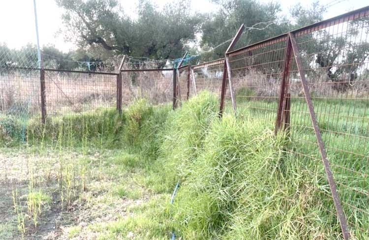 Σε δραματική κατάσταση οι αθλητικές υποδομές στο νησί της Ζακύνθου