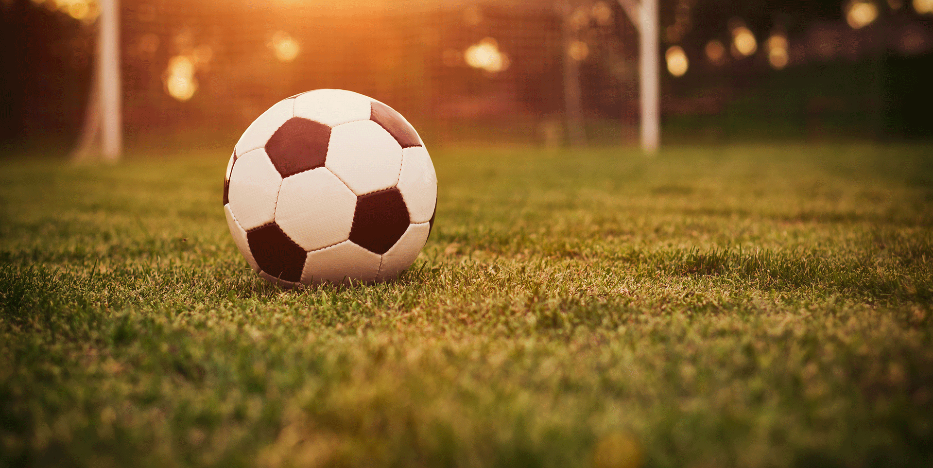 Soccer Field